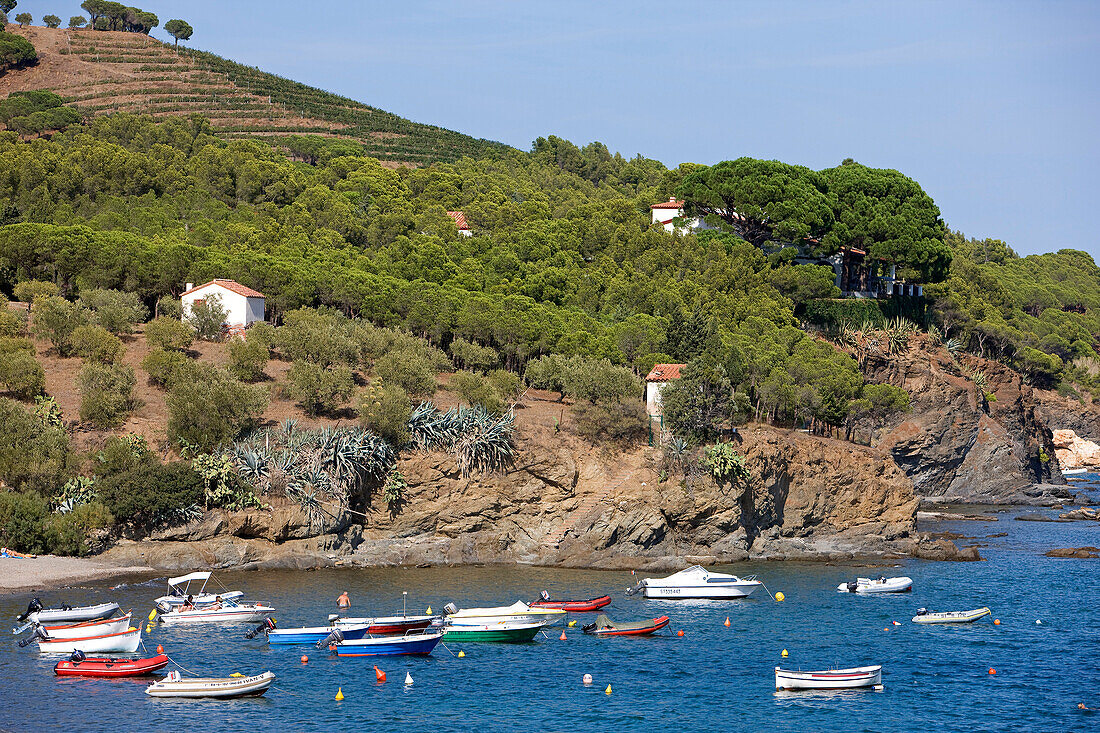 Spain, Catalonia, Costa Brava, the port of Lleurat, Garbet beach