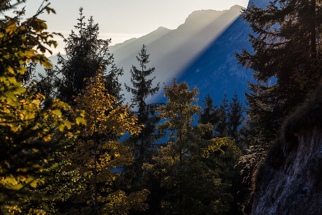 Autumn Forest, Berchtesgaden, Bavaria, Germany.