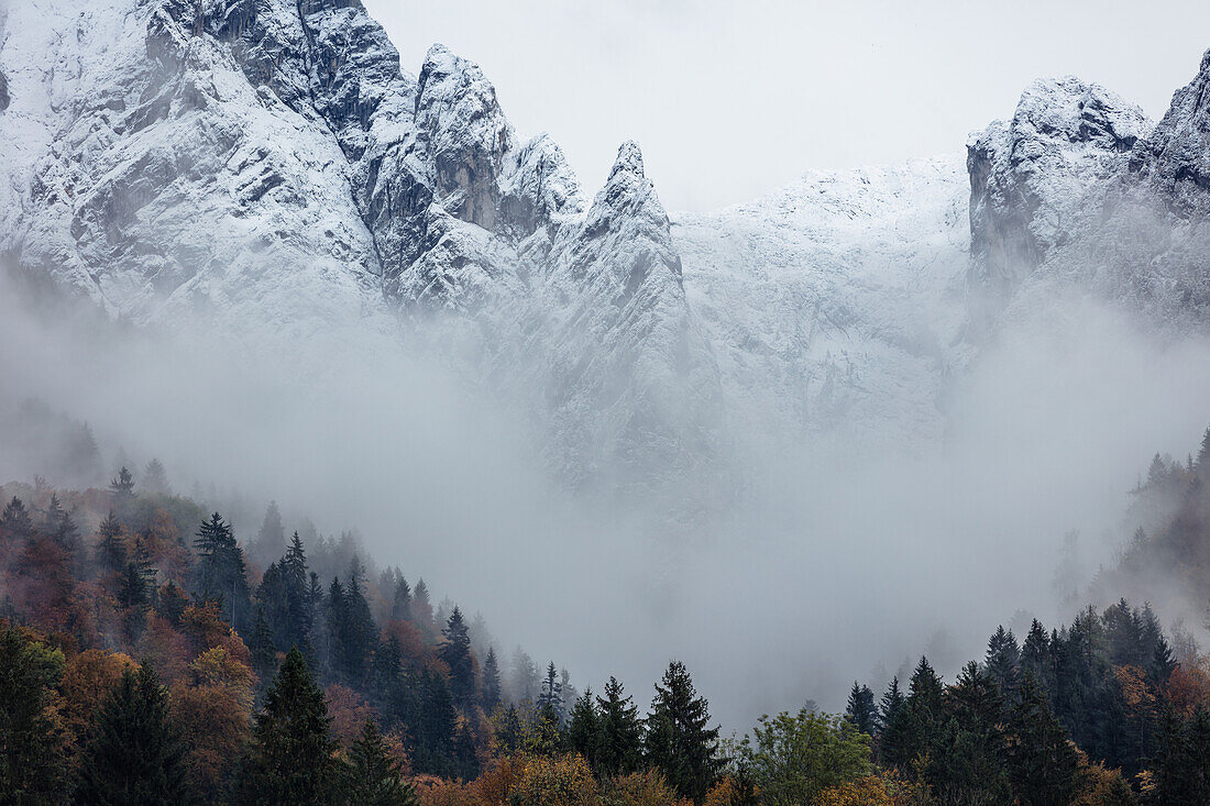 Hoher Goell and Autumn Forest, Berchtesgaden, Bavaria, Germany.