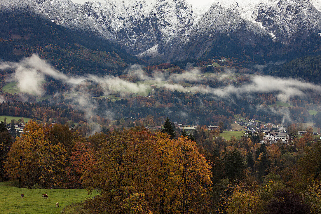 Hoher Göll und Herbstwald, Berchtesgaden, Bayern, Deutschland