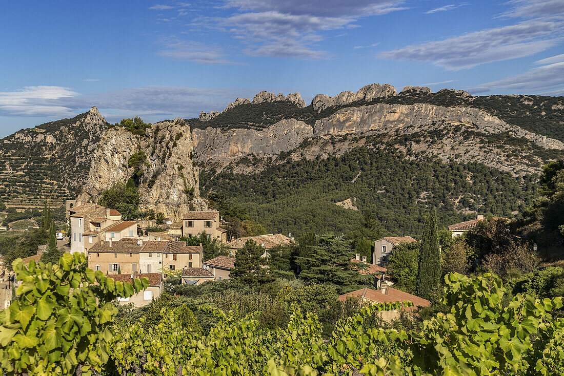 Viniculture, La Roque Alric, Montmirail Lace, Vaucluse, France, Europe
