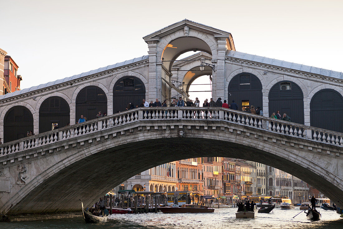 The Rialto Bridge on the Grand Canal, Venice, Italy