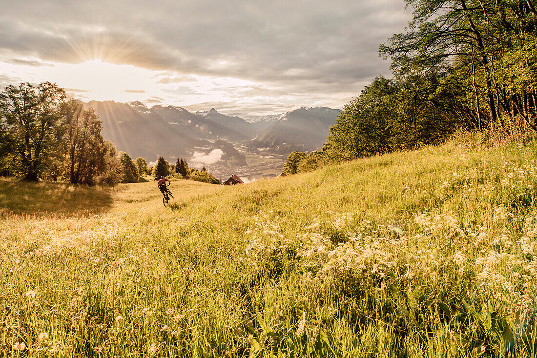 Mountainbiker within the mountains at sunrise, Brandnertal, Vorarlberg, Austria, Alps, Mountains, Downhill