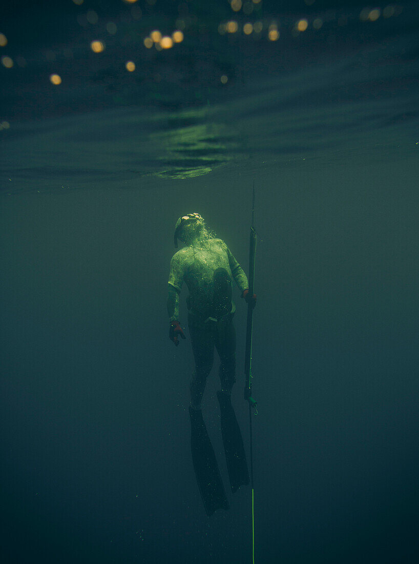 A spear fisher comes up from the depth of sea with his spear gun.