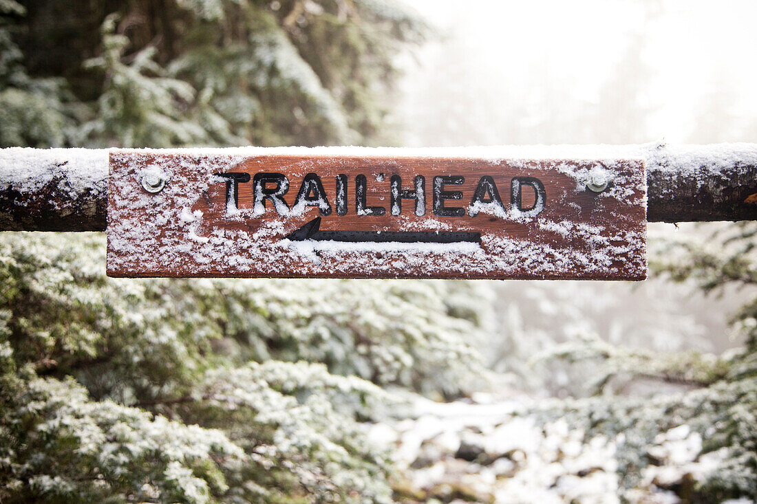 'A snow-dusted trail sign nailed to a fallen limb in an evergreen forests reads, ''Trailhead'' with an arrow pointing left.'
