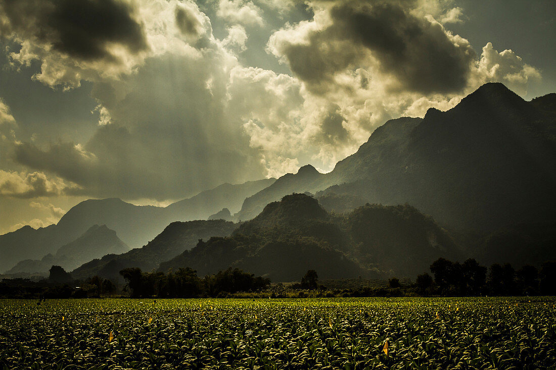 Mountains with rays of sunlight shining down and fields of soy beans.