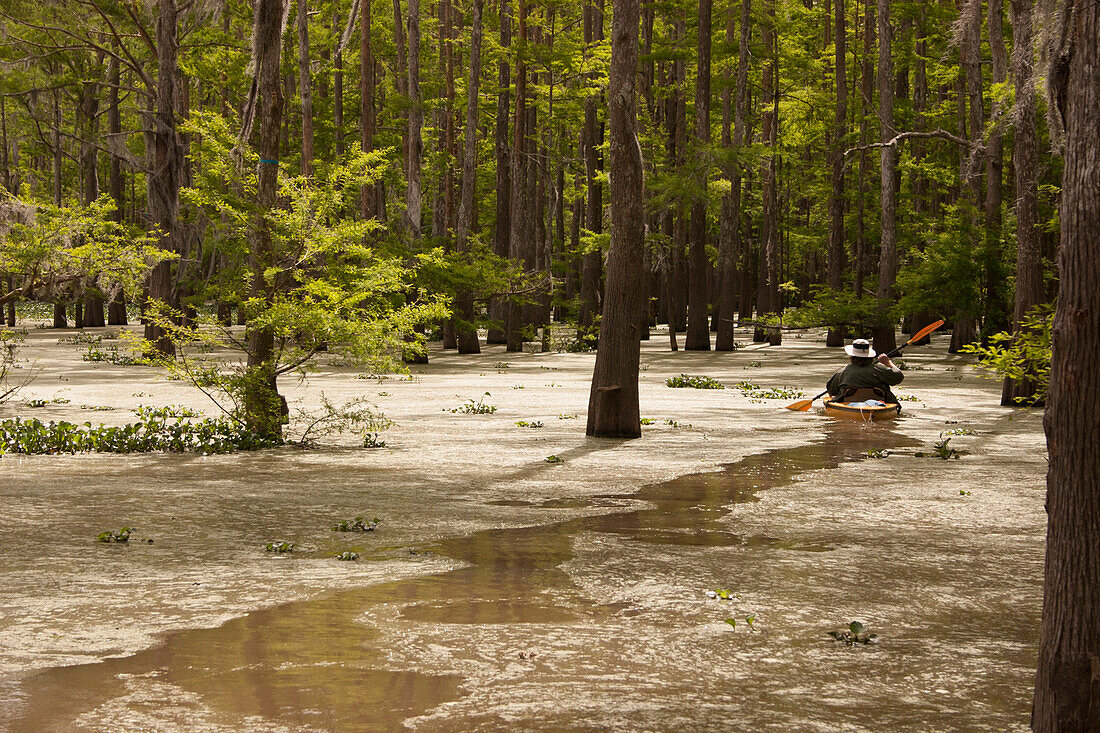 A paddler makes tracks through a desolate section of Louisiana's vast Atchafalaya Swamp.
