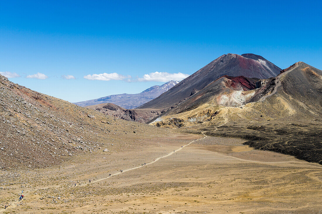 Hikers are dwarfed by the volcanic Mount Ngauruhoe on the Tongariro Crossing trail, Tongariro National Park, UNESCO World Heritage Site, North Island, New Zealand, Pacific