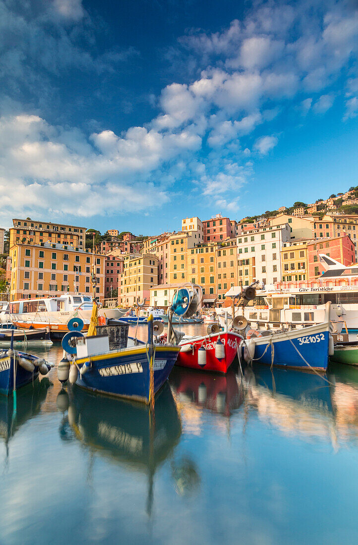 Sunset frames harbour and fishing village Camogli, Gulf of Paradise, Portofino National Park, Genoa province, Liguria, Italy, Europe