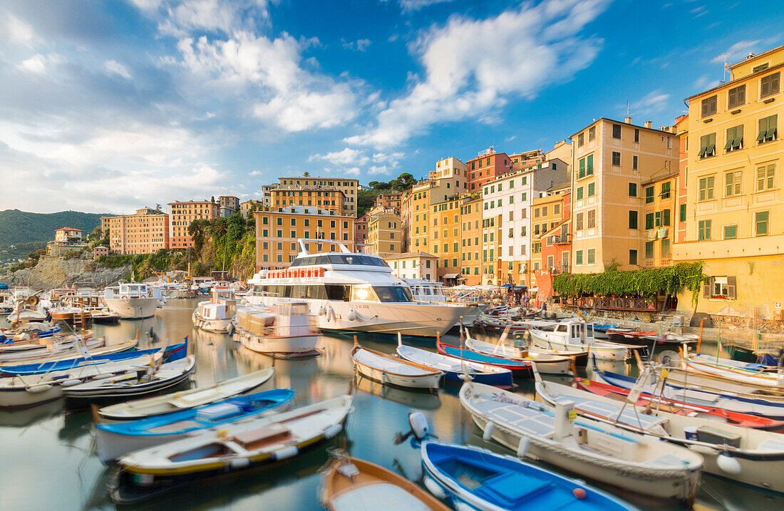 Blue sky over harbour of the fishing village of Camogli, Gulf of Paradise, Portofino National Park, Genoa Province, Liguria, Italy, Europe