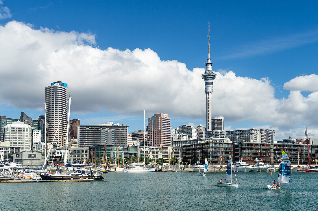 Small sailboats cruise in Auckland harbour in front of the city skyline, Auckland, North Island, New Zealand, Pacific