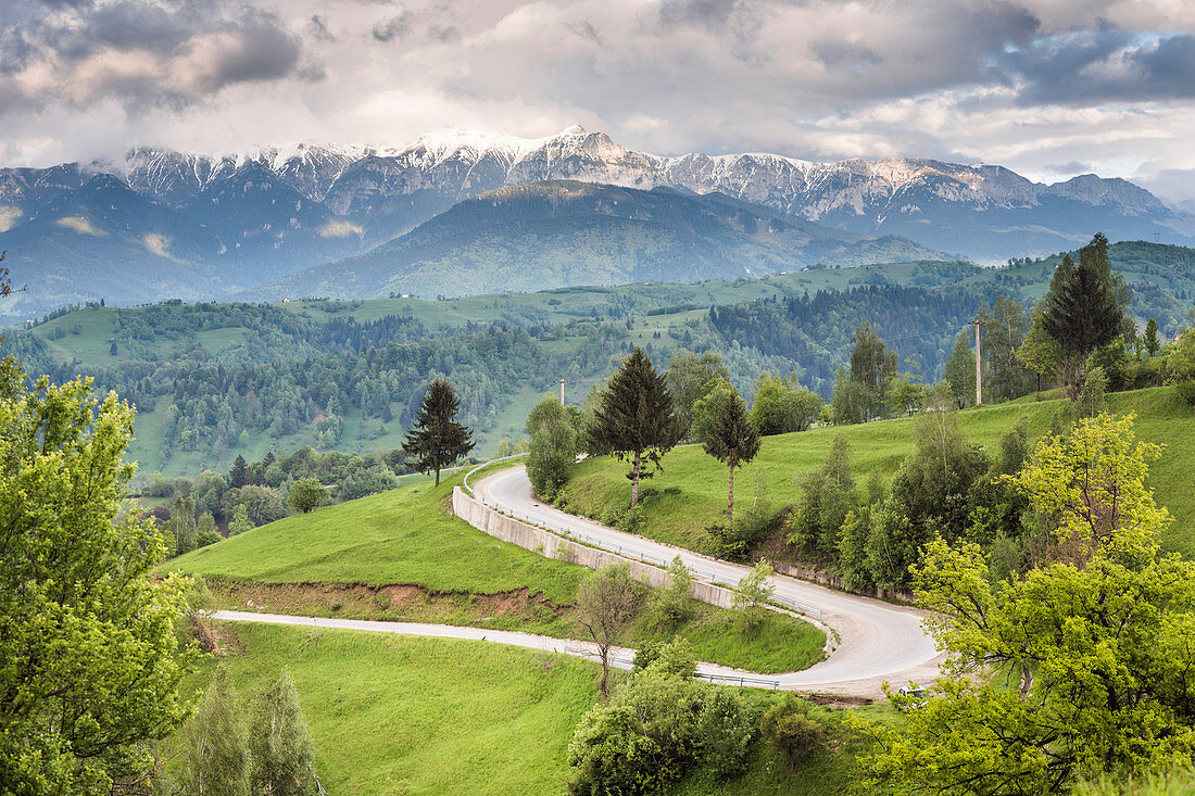 Rural countryside and Carpathian Mountains near Bran Castle at Pestera, Transylvania, Romania, Europe