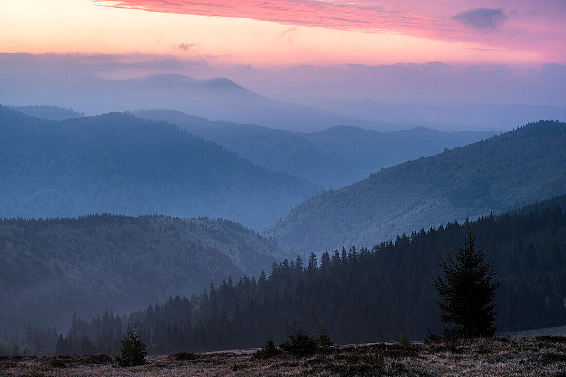 Carpathian Mountains landscape during a misty sunrise, Ranca, Oltenia Region, Romania, Europe