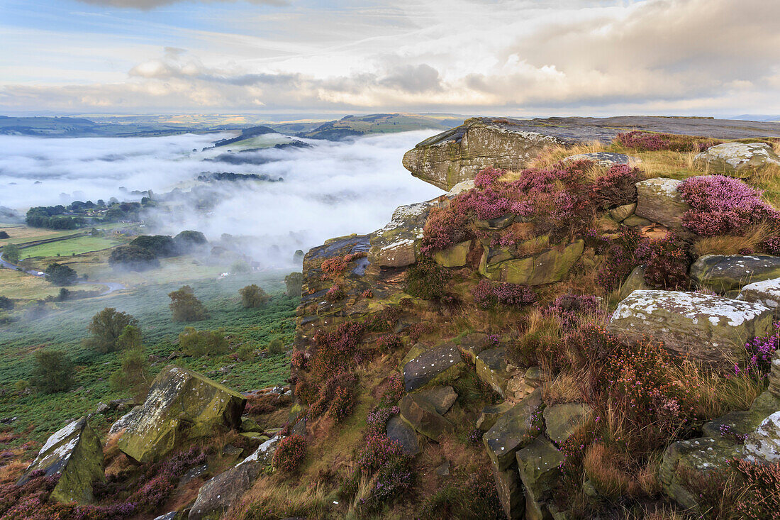 Early morning fog, partial temperature inversion, Curbar Edge, Peak District National Park, summer heather, Derbyshire, England, United Kingdom, Europe