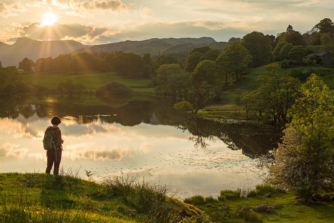 A woman looks out over Loughrigg Tarn near Ambleside in The Lake District National Park, Cumbria, England, United Kingdom, Europe