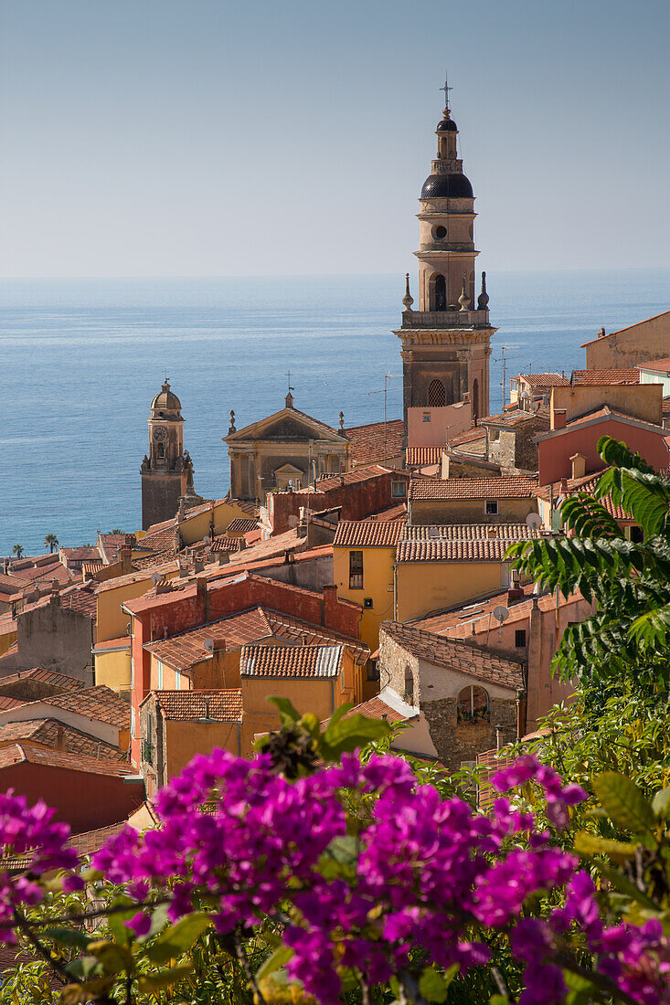 View of medieval Menton and Basilique Saint Michel, Alpes-Maritimes, Cote d'Azur, Provence, French Riviera, France, Mediterranean, Europe