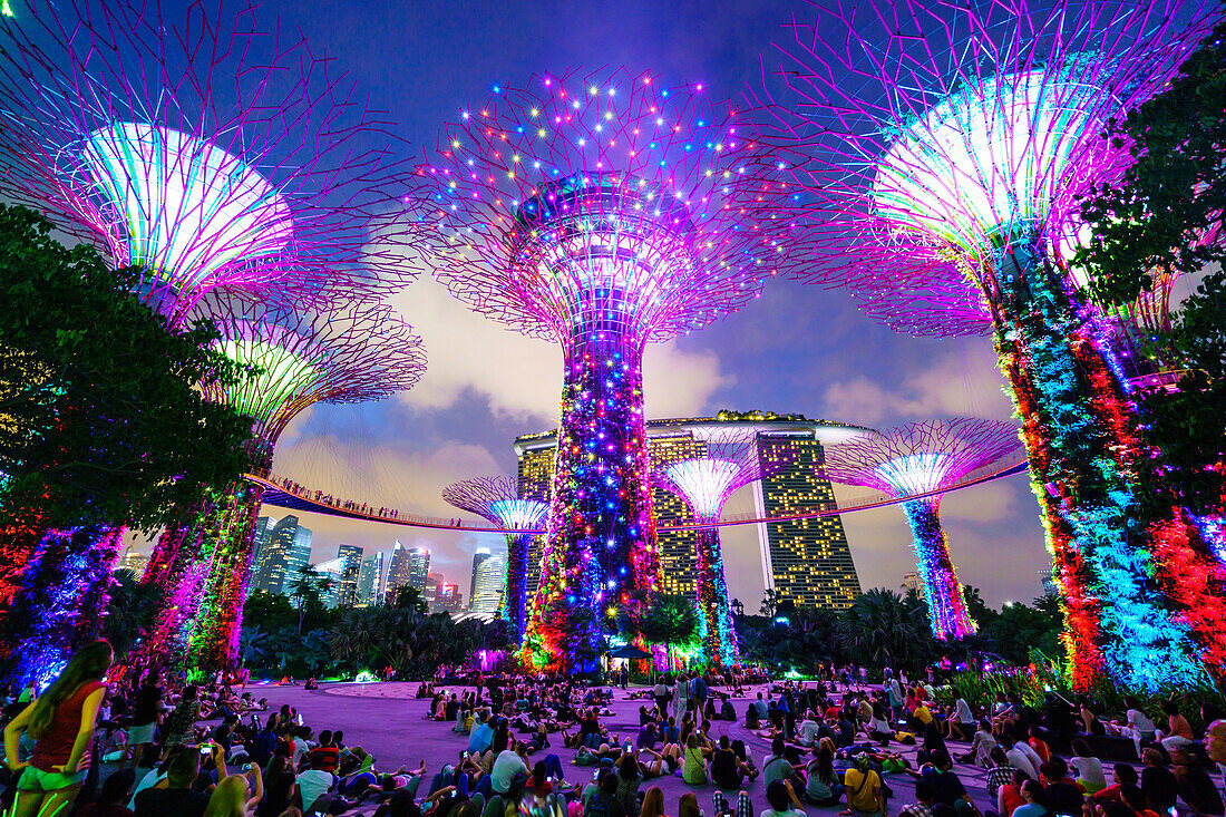 Supertree Grove in the Gardens by the Bay, a futuristic botanical gardens and park, illuminated at night, Marina Bay, Singapore, Southeast Asia, Asia