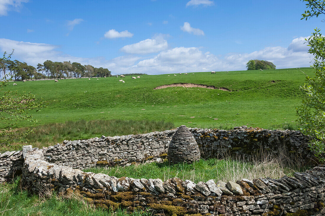 Raisbeck Pinfold Cone, Eden Valley, Cumbria, England, United Kingdom, Europe