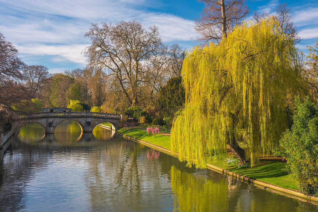 The Backs, River Cam, Cambridge, Cambridgeshire, England, United Kingdom, Europe