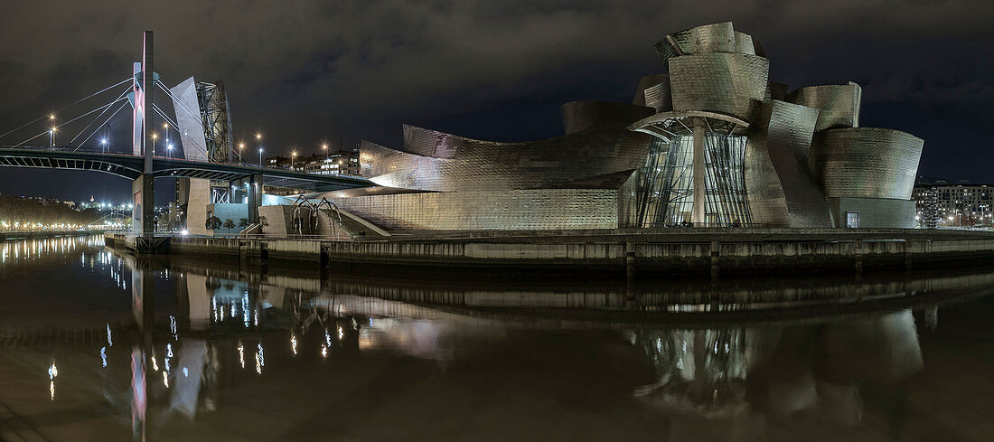 The Guggenheim at night from the other side of the river, Bilbao, Biscay, Basque Country, Spain, Europe