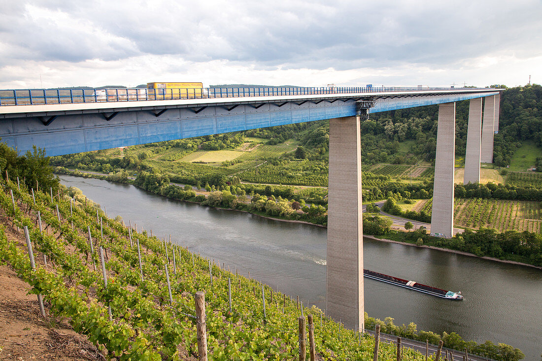 A 61, Moseltalbrücke, Deutsche Autobahn, Weinanbau, Weinberg, Lastkahn, Lastschiff, Schifffahrt, Verkehr, Verkehrsnetz, Transit, LKW, Maut, Geschwindigkeit, Tempolimit, Mittelstreifen, Transport, Infrastruktur, Brücke, Autobahnbrücke, Brückenbau, Konstruk