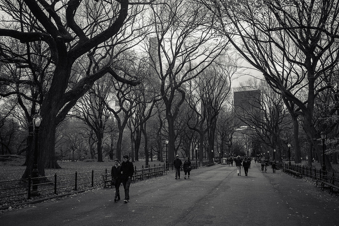 Im Central Park, Stadt New York, New York, USA