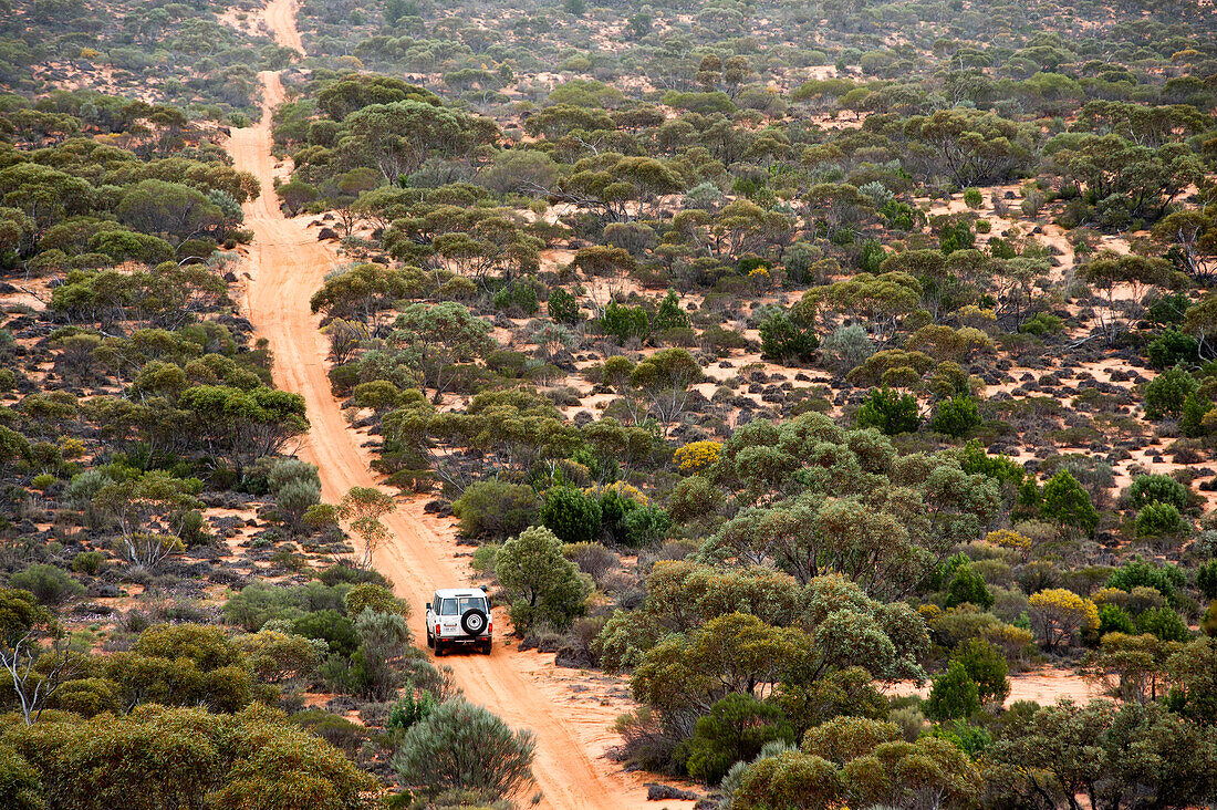 Through the overgrown sand dunes along the Goog's Track, Goog's Track, Australia, South Australia