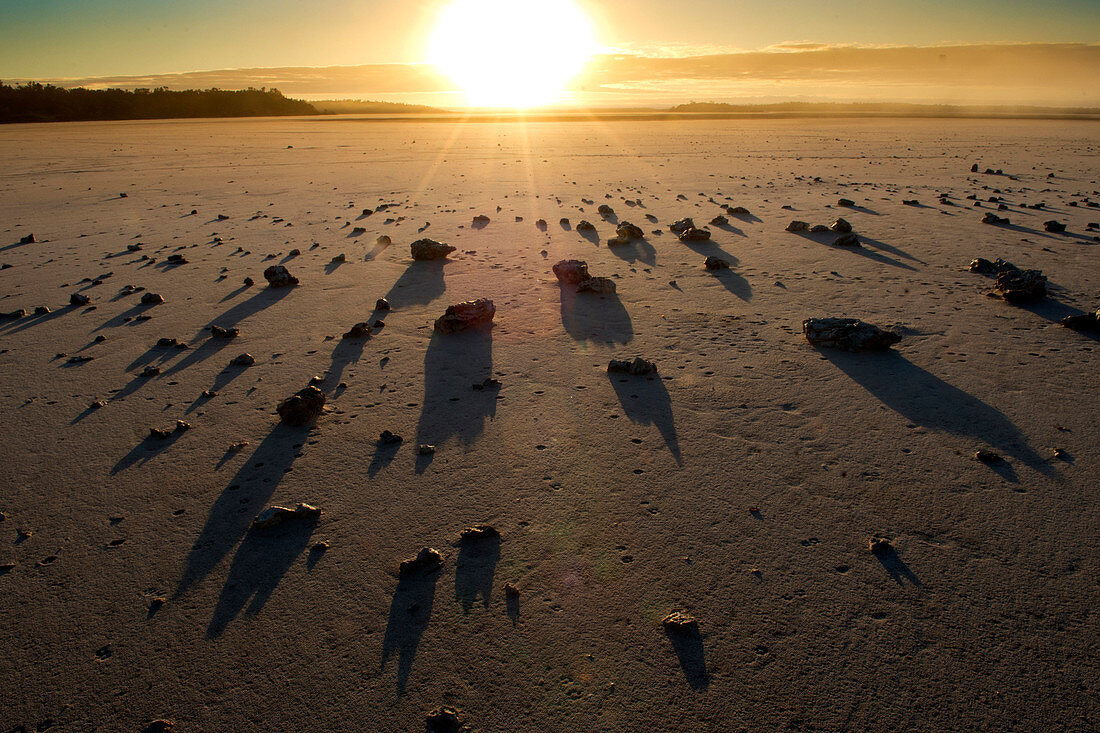 Sunrise at Goog's Lake, Goog's Track, Australia, South Australia