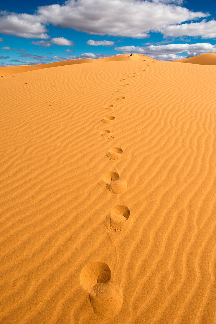 Sand dunes near Lake Harris, Lake Harris, Australia, South Australia