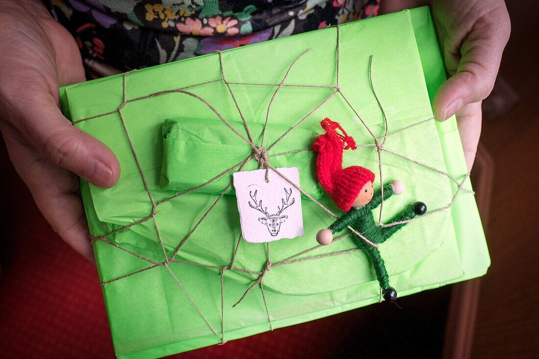 Manos de mujer sosteniendo y enseñando un paquete regalo de navidad color verde con una etiqueta con motivo navideño un cievo y un elf