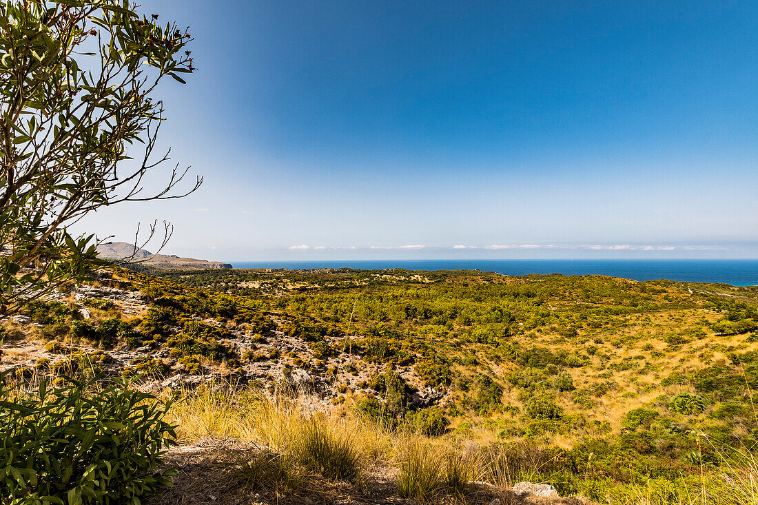 view to the coast near Arta, Mallorca, Balearic Islands, Spain