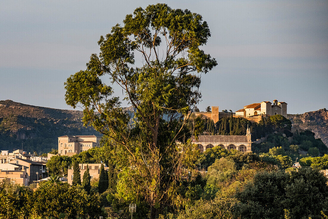 Blick auf Arta mit Kirche Parròquia d'Artà, Arta, Mallorca, Balearen, Spanien