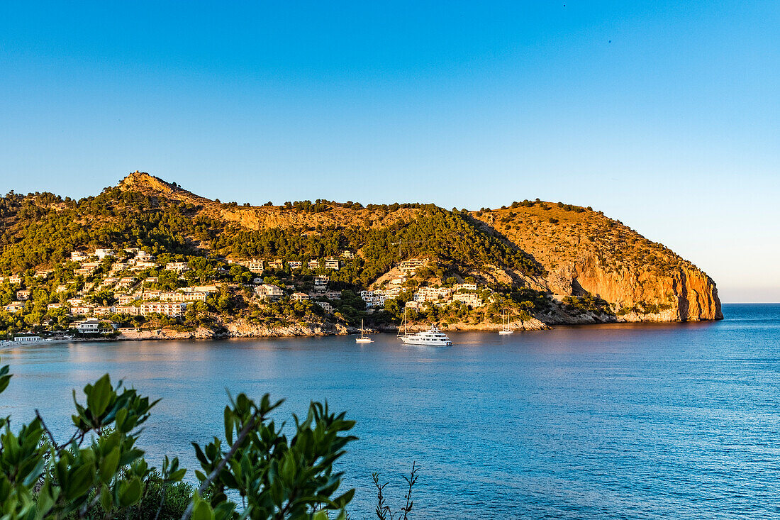 Blick auf Bucht von Canyamel in der Abendsonne, Mallorca, Balearen, Spanien