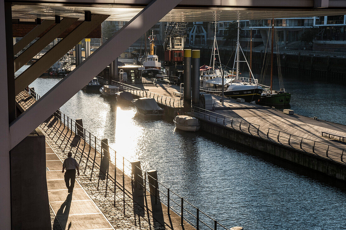 Morgensonne am Sandtorkai in der Hafencity Hamburg, Norddeutschland, Deutschland