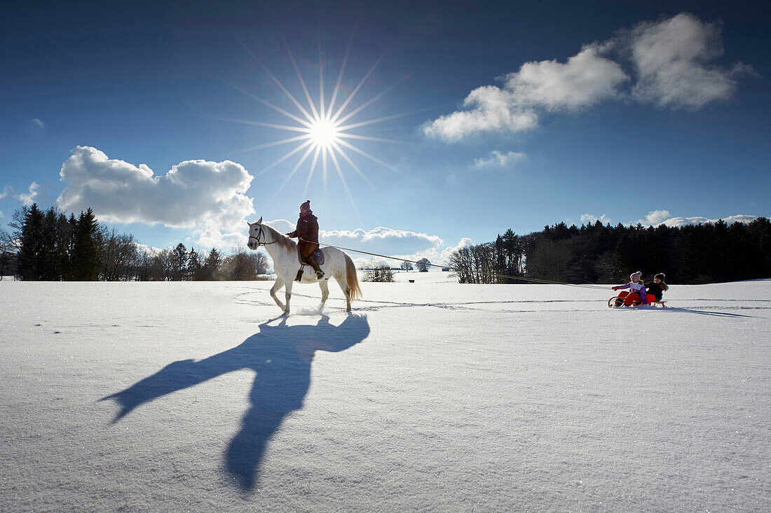 Mother on horse pulling children on sledge, Buchensee, Muensing, Bavaria Germany