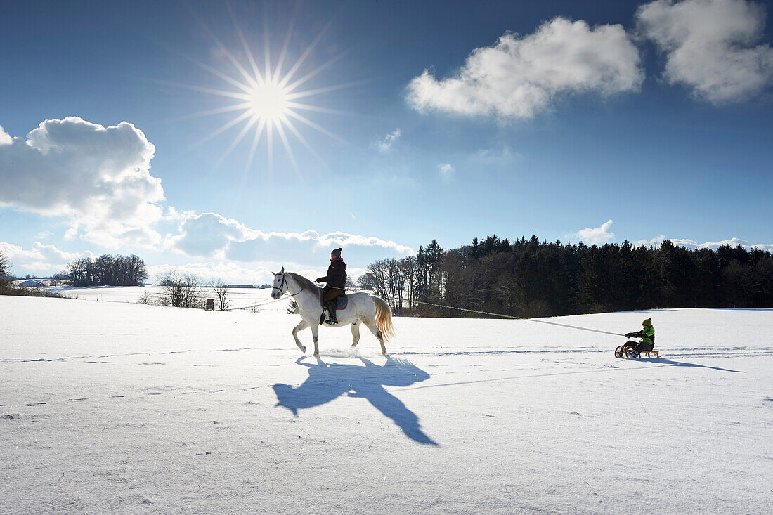 Mother on horse pulling children on sledge, Buchensee, Muensing, Bavaria Germany