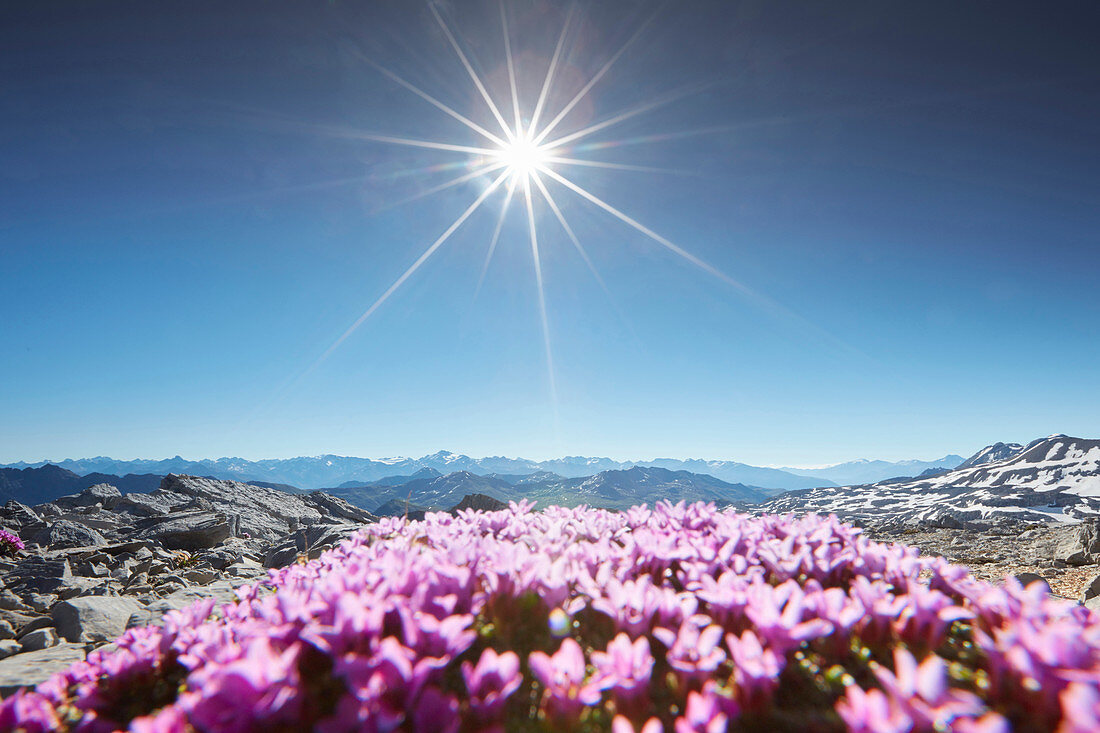 Fourclada Rims 2940m, Sesvennagruppe zw Unterengadin Schweiz und Vinschgau, Italien