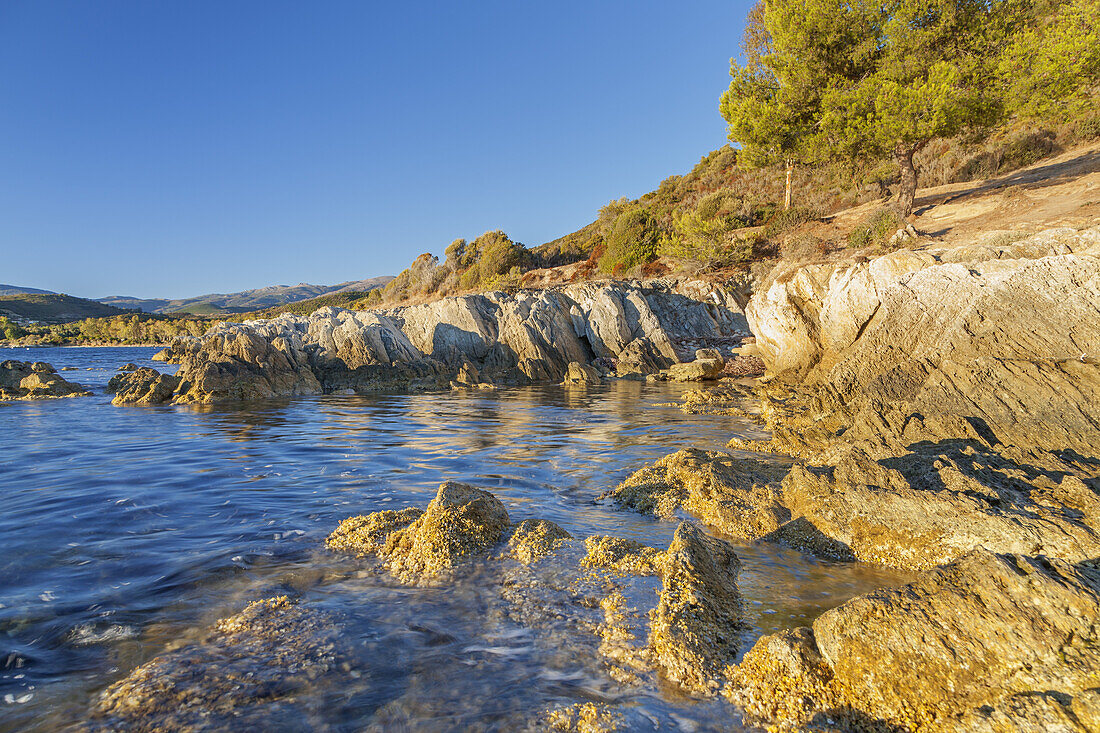 Coast in the Desert of Agriates, near Saint-Florent, Corsica, Southern France, France, Southern Europe