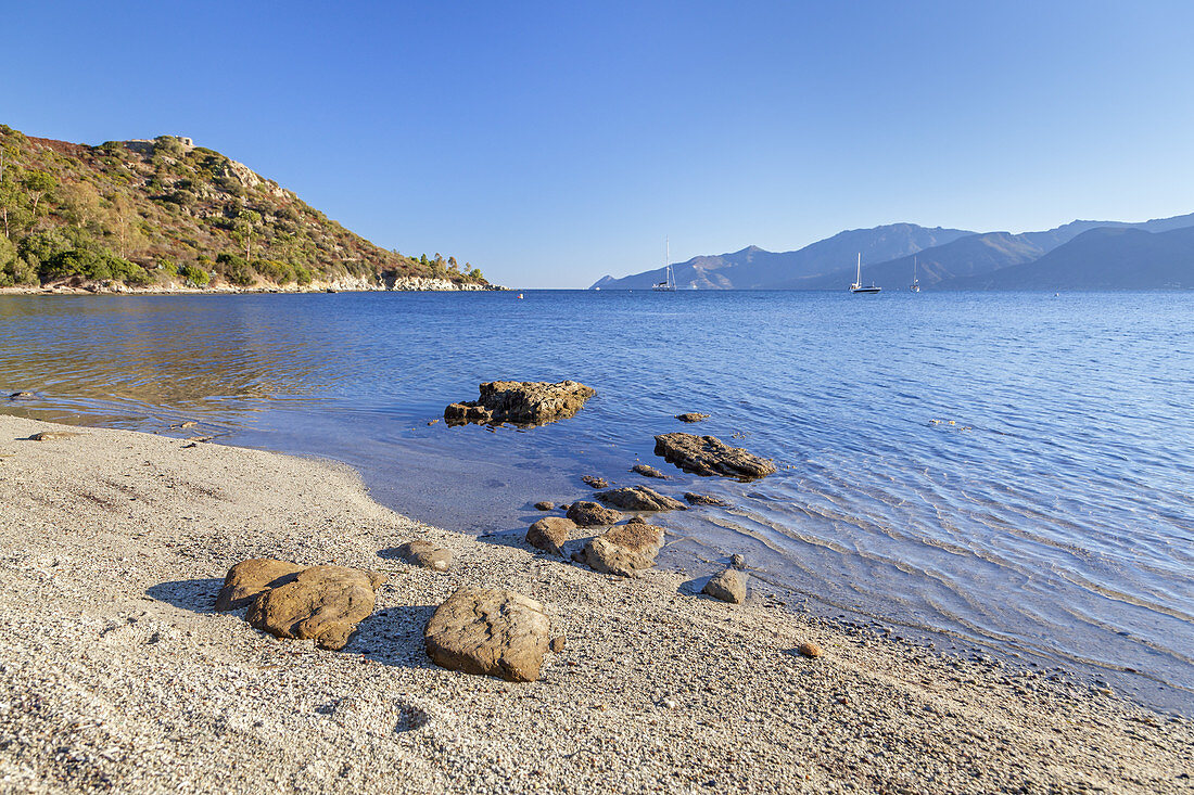 Coast in the Desert of Agriates, near Saint-Florent, Corsica, Southern France, France, Southern Europe