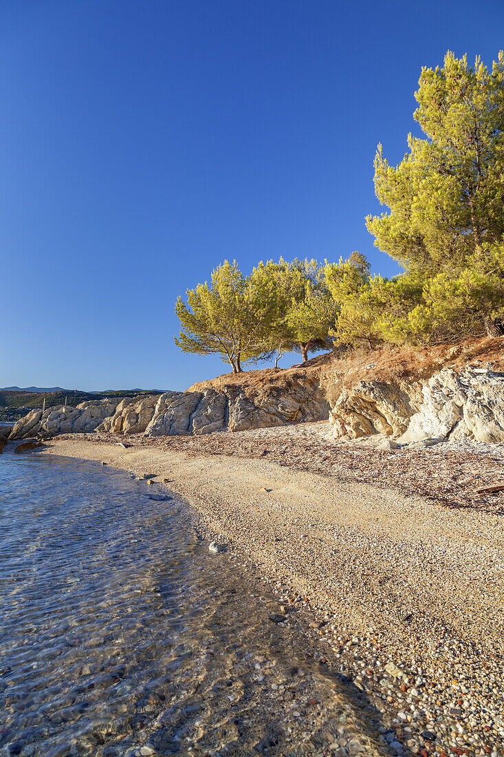 Coast in the Desert of Agriates, near Saint-Florent, Corsica, Southern France, France, Southern Europe