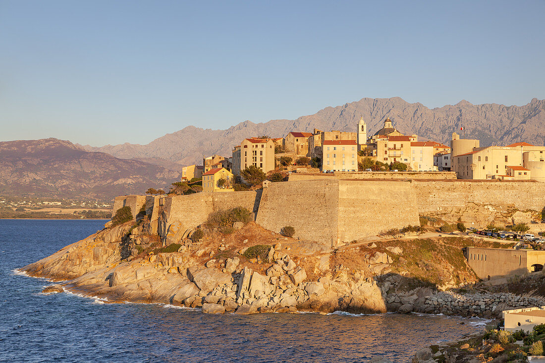 Citadel of Calvi in evening light, Corsica, Southern France, France, Southern Europe