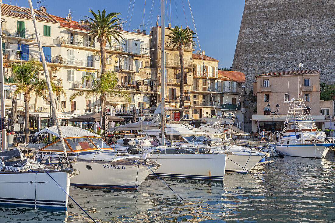 Häuser am Hafen von Calvi unterhalb der Zitadelle, Korsika, Südfrankreich, Frankreich, Südeuropa, Europa