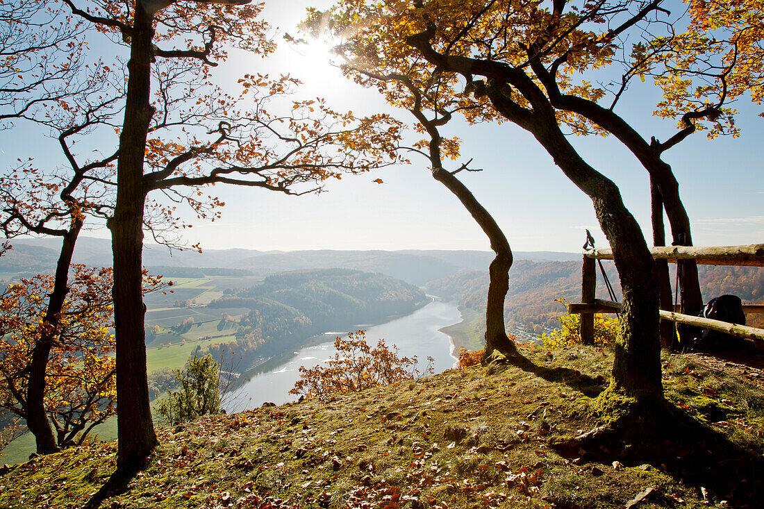 Herbstlicher Blick auf den Edersee vom Aussichtspunkt Kahle Hard Route bei Bringhausen im Nationalpark Kellerwald-Edersee mit Trauben-Eiche (Quercus petraea), Nordhessen, Hessen, Deutschland, Europa