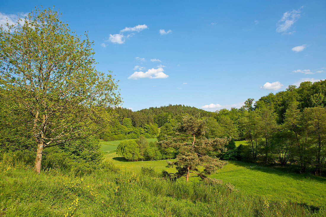 Blick über das Lengeltal im Sommer, Nordhessen, Hessen, Deutschland, Europa