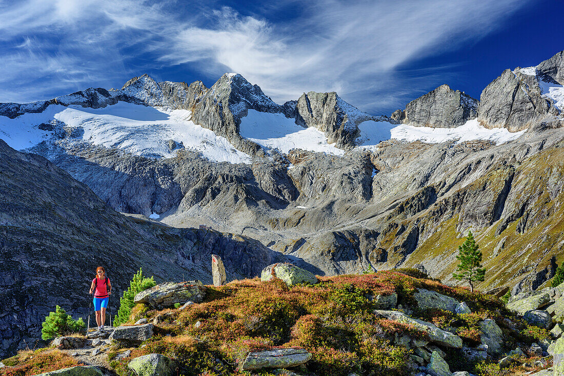 Frau beim Wandern steigt von Richterhütte ab, Reichenspitzgruppe im Hintergrund, Richterhütte, Naturpark Zillertaler Alpen, Dreiländertour, Zillertaler Alpen, Salzburg, Österreich