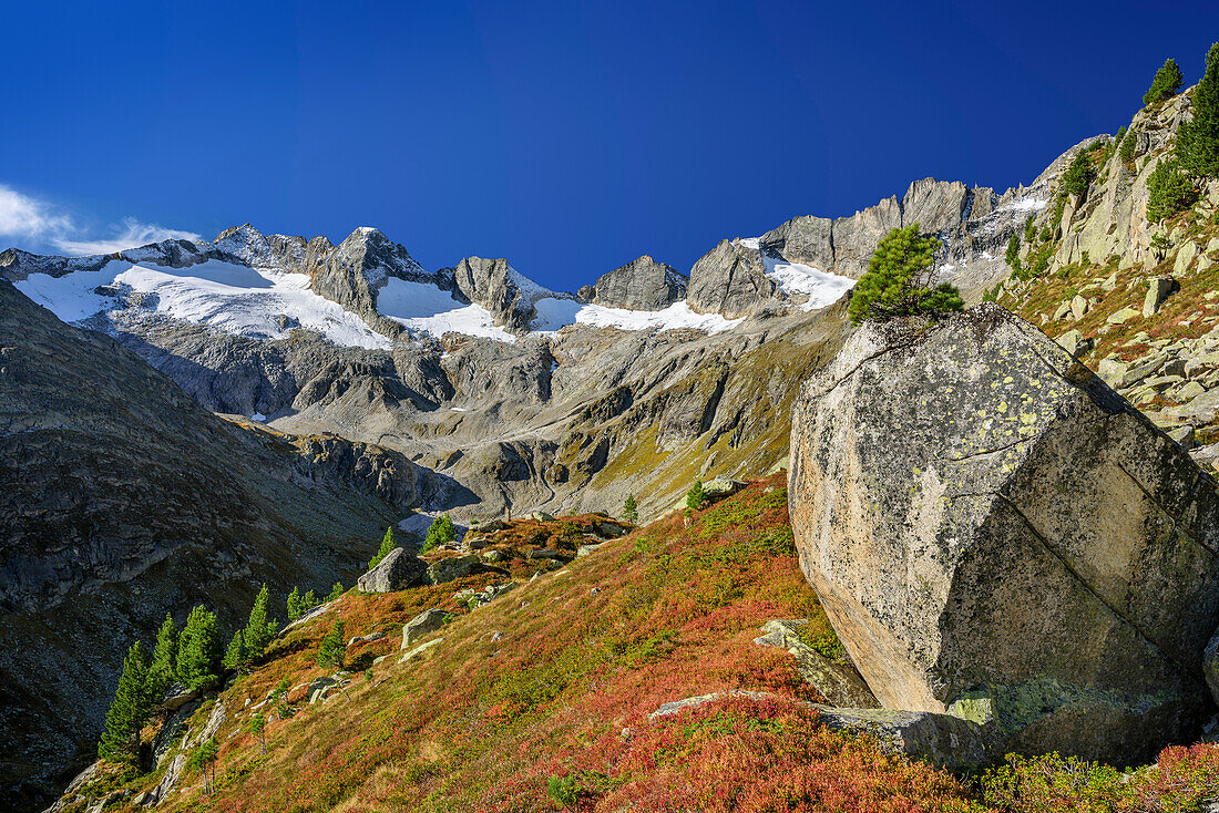 Reichenspitz-Group, valley of Rainbachtal, Natural Park Zillertal Alps, Dreilaendertour, Zillertal Alps, Salzburg, Austria