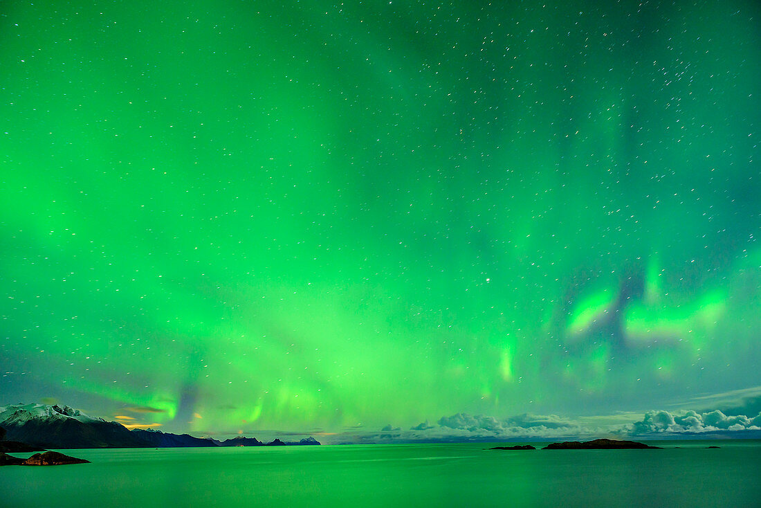 Aurora borealis, Polarlicht über Nordmeer, Lofoten, Norland, Norwegen