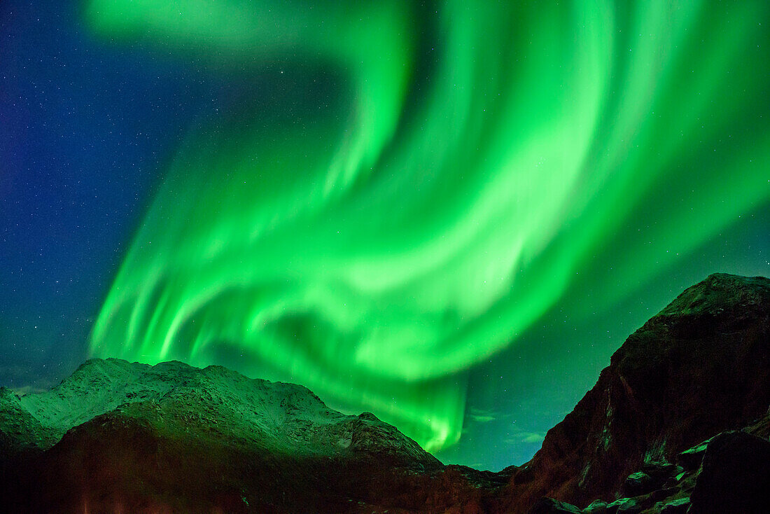 Aurora borealis, Aurora above snow-covered mountains, Lofoten, Norland, Norway