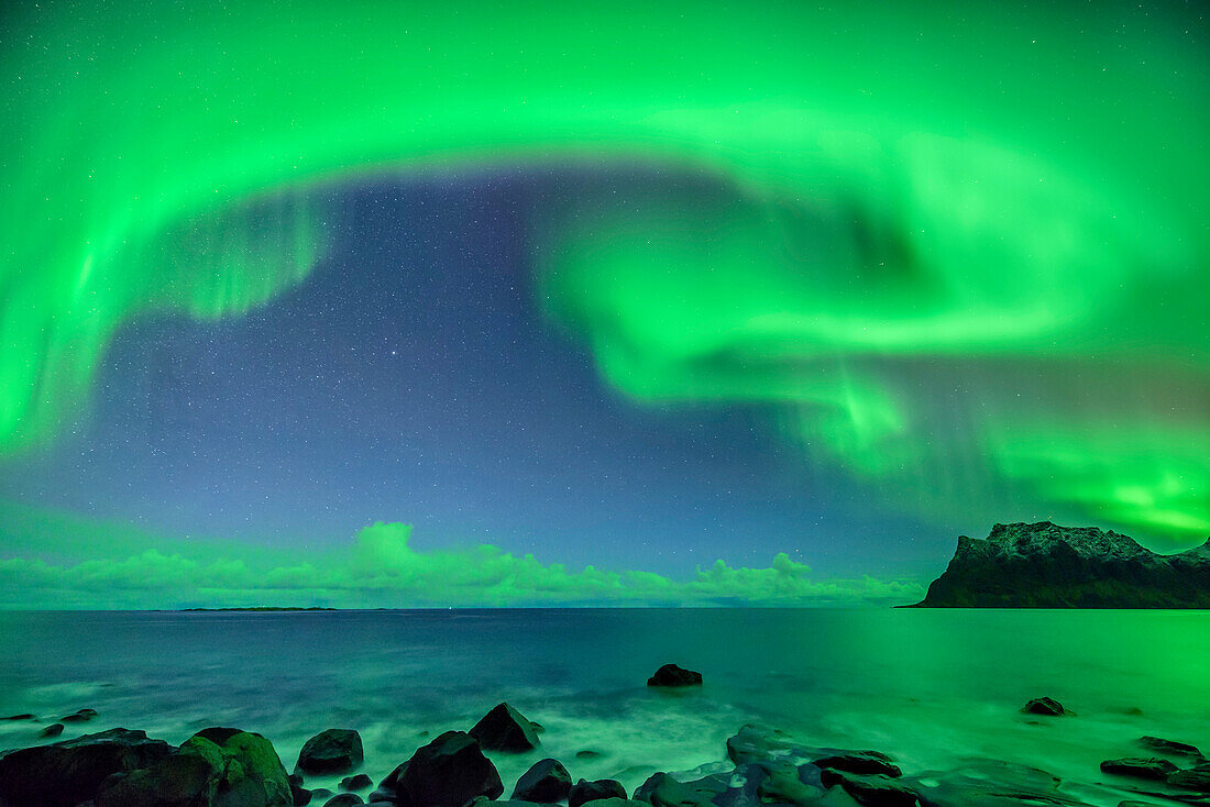 Aurora borealis, Polarlicht über Strand und Nordmeer, Lofoten, Norland, Norwegen