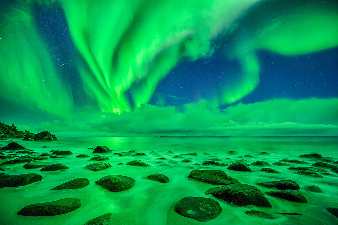 Aurora borealis, Polarlicht über Strand mit Felsen und Nordmeer, Lofoten, Norland, Norwegen